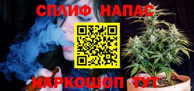 молекула духа Берёзовский