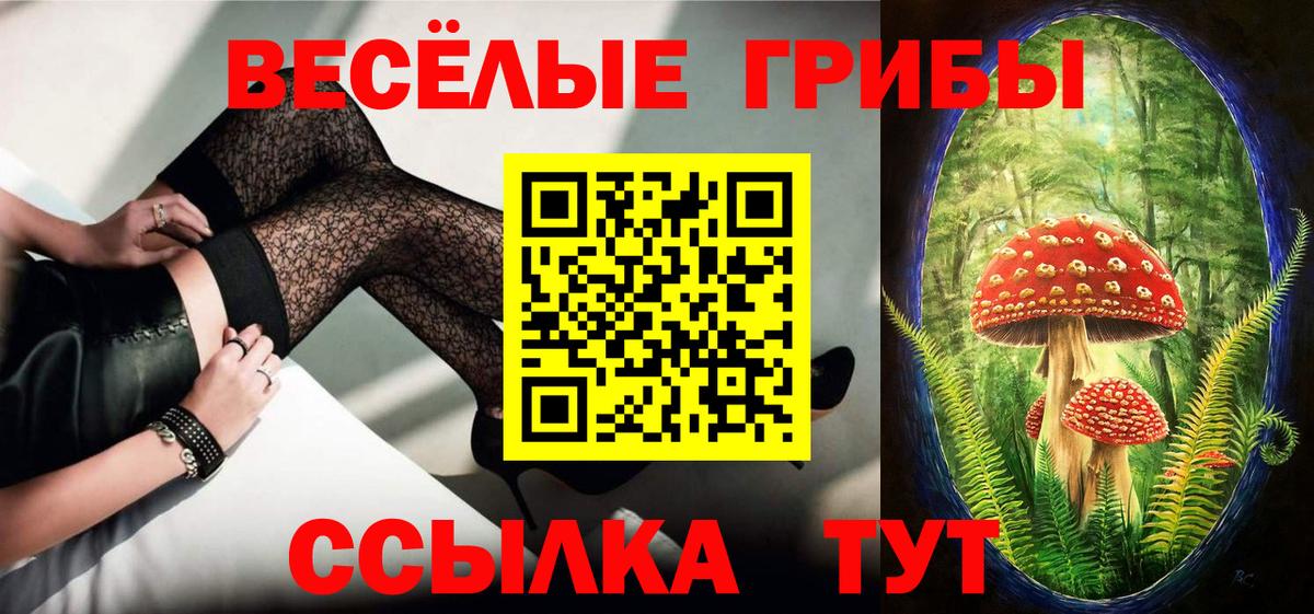 Ишимбай  Галлюциногенные грибы Cubensis  Вход с VPN  Галлюциногенные грибы MAGIC MUSHROOMS 